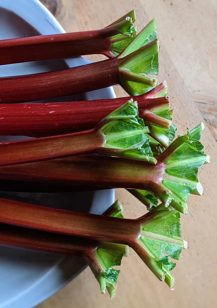 fresh rhubarb