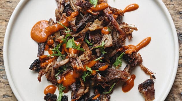 HDT BBQ Pulled Pork roasted sauced and ready to eat