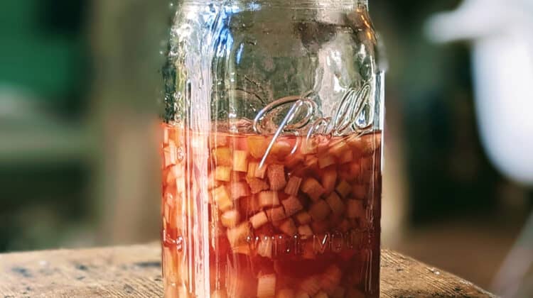 Quick and Easy Pickled Rhubarb in a jar