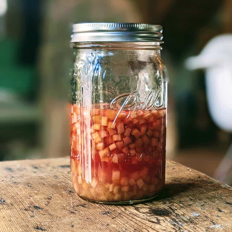 Quick and Easy Pickled Rhubarb in a jar